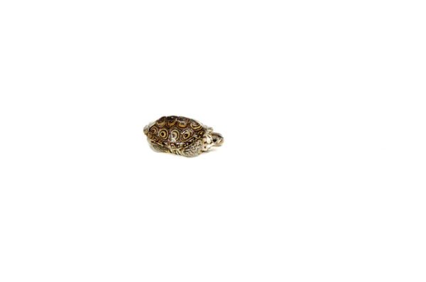 Concentric Diamondback Terrapin